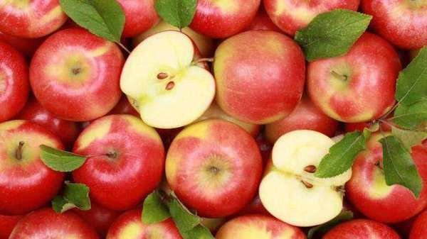 Зниження цін: яблука в Україні коштуватимуть дешевше