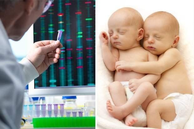 У Китаї народилися перші діти зі зміненим ДНК