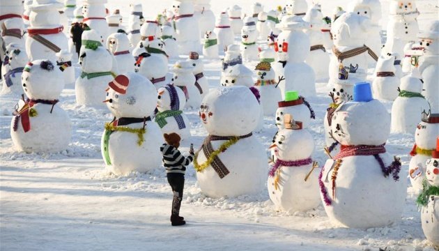 2019 витворів: в Китаї створили виставку сніговиків. Фото