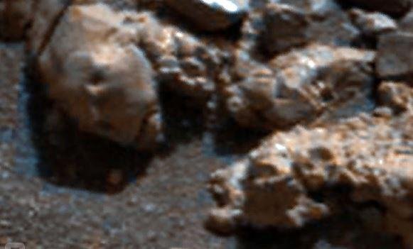 На Марсі побачили кактус та черепи
