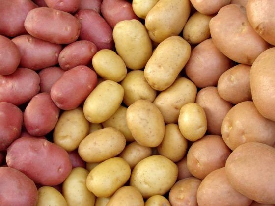 Фахівці розповіли, чому корисна картопля