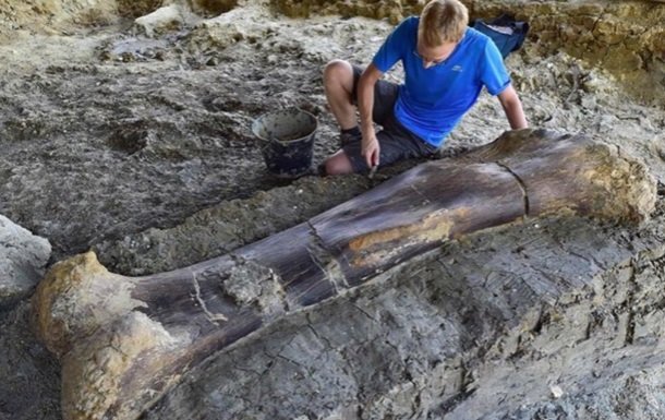 Унікальна знахідка: вчені відкопали залишки дивовижної тварини