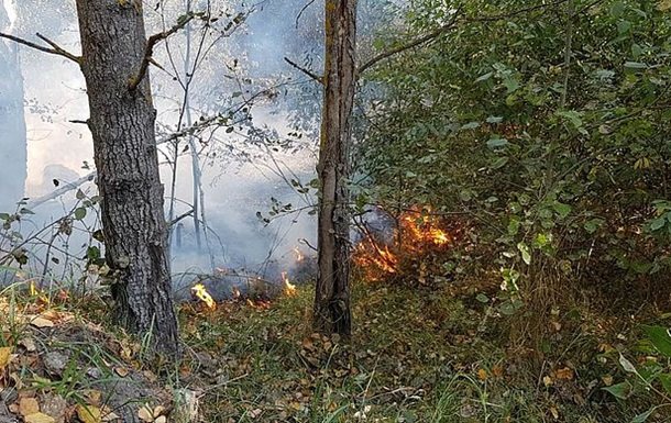 На Житомирщині лісові пожежі завдали непоправної шкоди