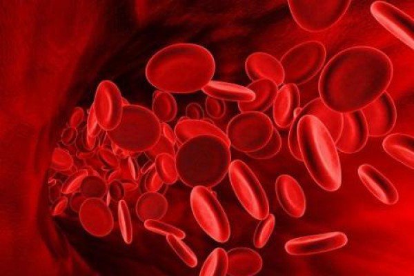 Лікарі повідомили, що в Україні заборонили замінник крові