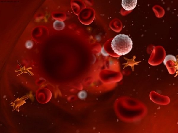 Вчені розповіли, що створили універсальну штучну кров