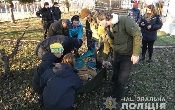 У Києві шість тигрів перебували в жахливих умовах