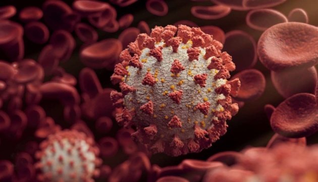 В Україні кількість жертв коронавірусу може досягти 100 тисяч, - НАН