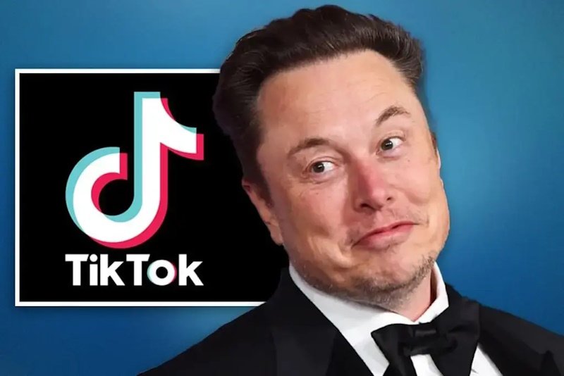 Маск купит TikTok? Пекин готов на сделку, чтобы избежать запрета в США