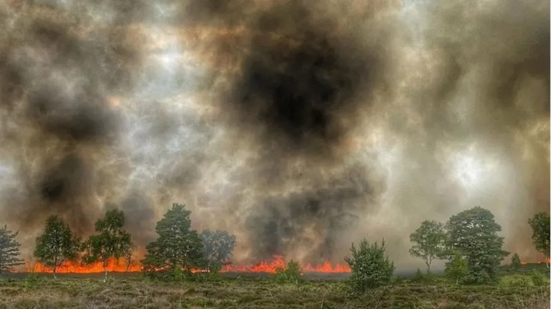 Военные учения провоцируют массовые лесные пожары в Великобритании