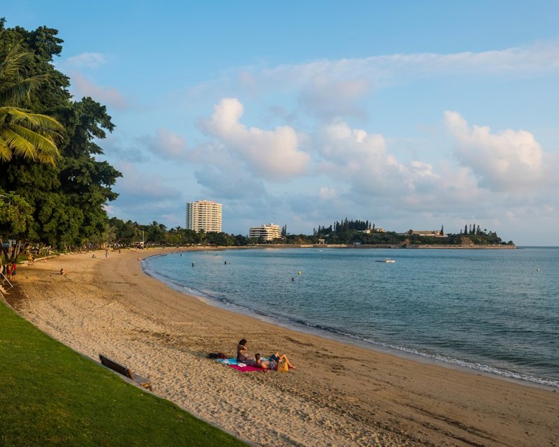 Отстрел акул после смертельного нападения разделил общество Новой Каледонии